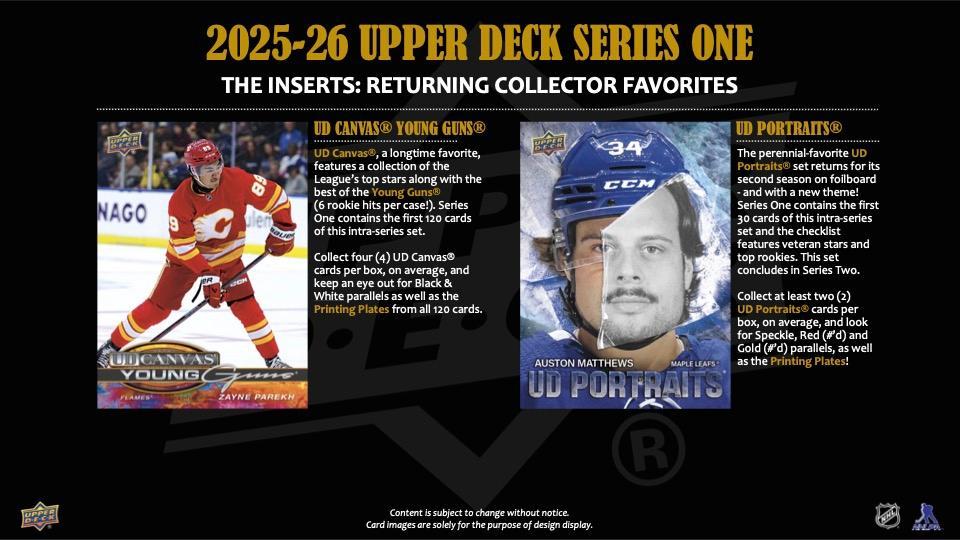 RANDOM TEAM BREAK (1X CASE / 12X BOXES) - RTB HOCKEY #2399