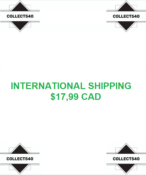 International Shipping Option with Tracking